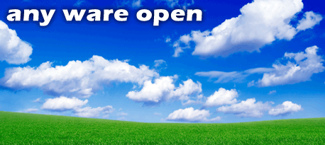 Any Ware Open